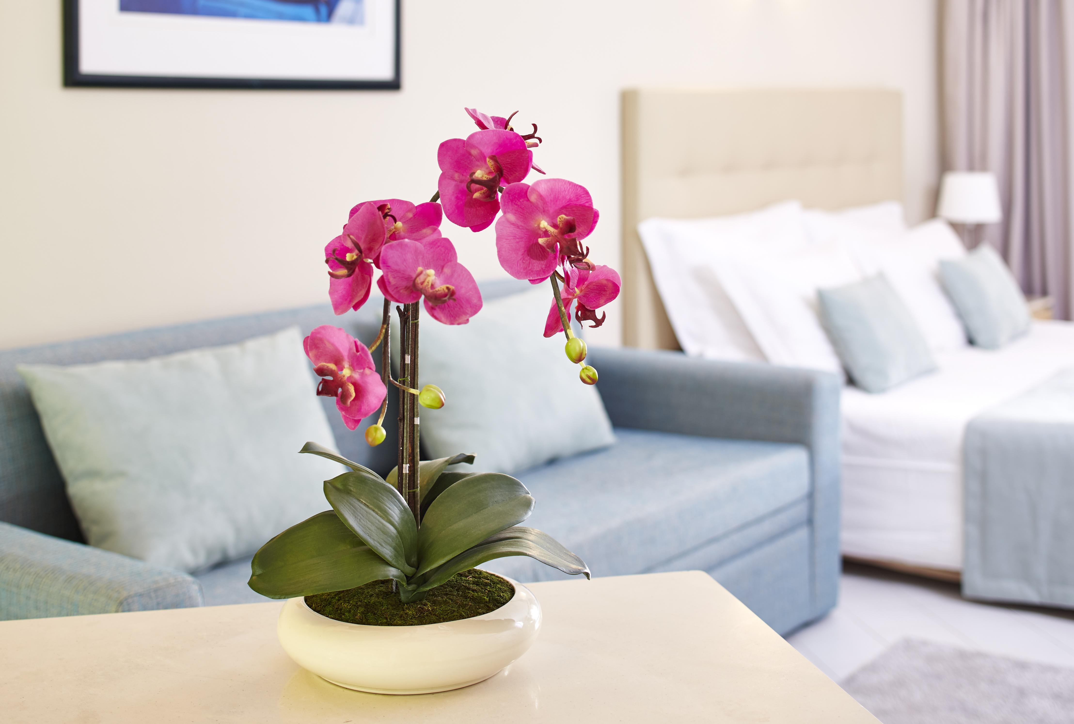 Luna Clube Oceano Albufeira Ngoại thất bức ảnh